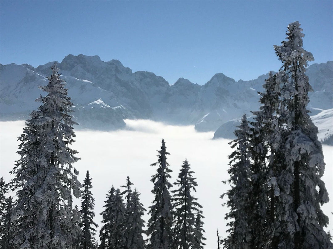 Biers et postes frontaliers